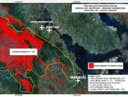 WALHI Sumatera Utara: Banjir di Samosir dan Humbahas karena Kerusakan Hutan Bentang Tele