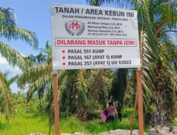 Aktivis Lingkungan Kecam Perusak Hutan Lindung di Kwala Langkat