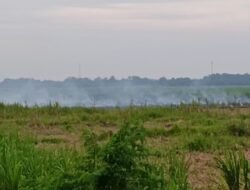 Karhutla di Areal Kebun Tebu SGN Kwala Madu, Pengguna Ruas Tol Binjai-Langsa Terganggu