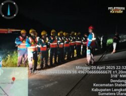 5 Tiang Listrik Tumbang Ditabrak Alat Berat PTPN, 20 Personel ULP PLN Stabat Dikerahkan